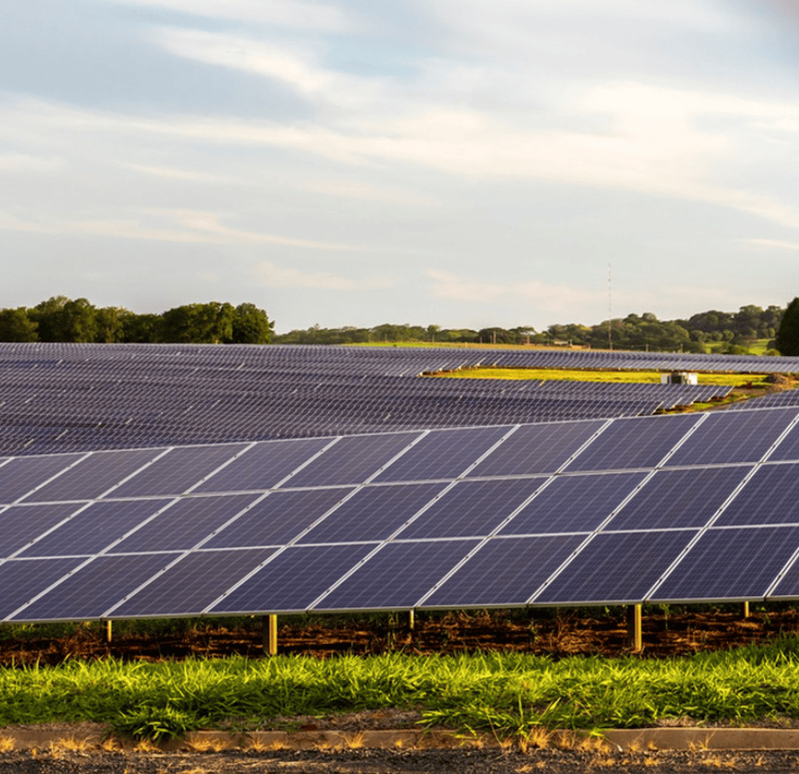 Heavy-Duty Solar Farm Mounting System for Windy Conditions